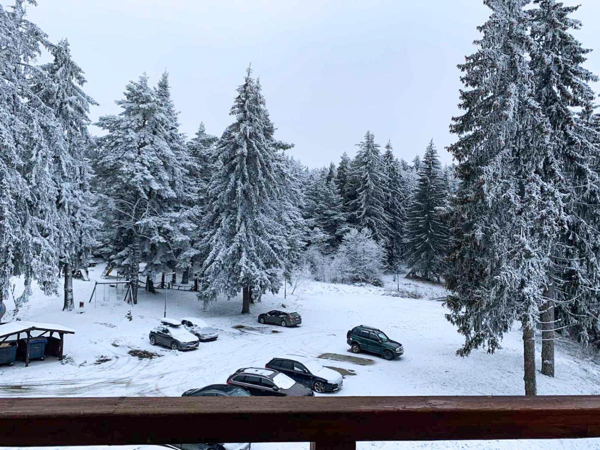 Studios And Apartments - Semiramida Gardens Borovets Buitenkant foto