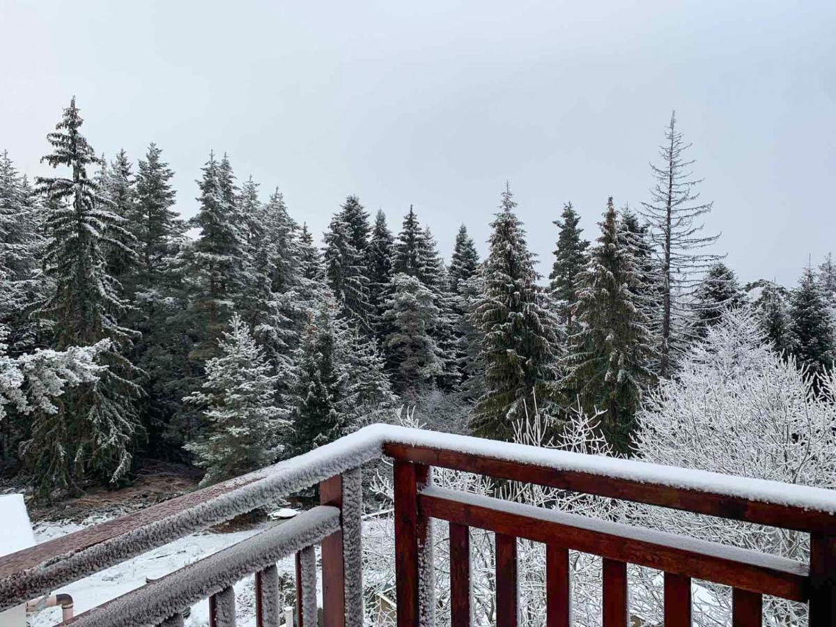Studios And Apartments - Semiramida Gardens Borovets Buitenkant foto