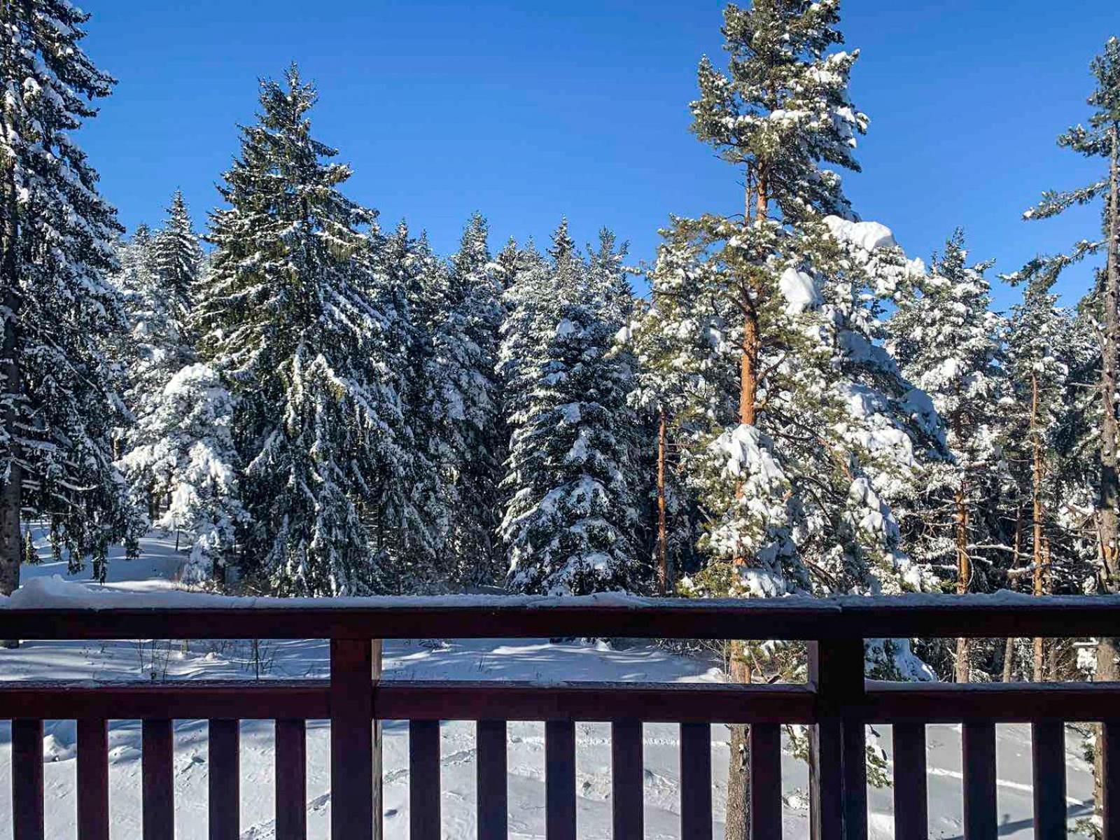 Studios And Apartments - Semiramida Gardens Borovets Buitenkant foto